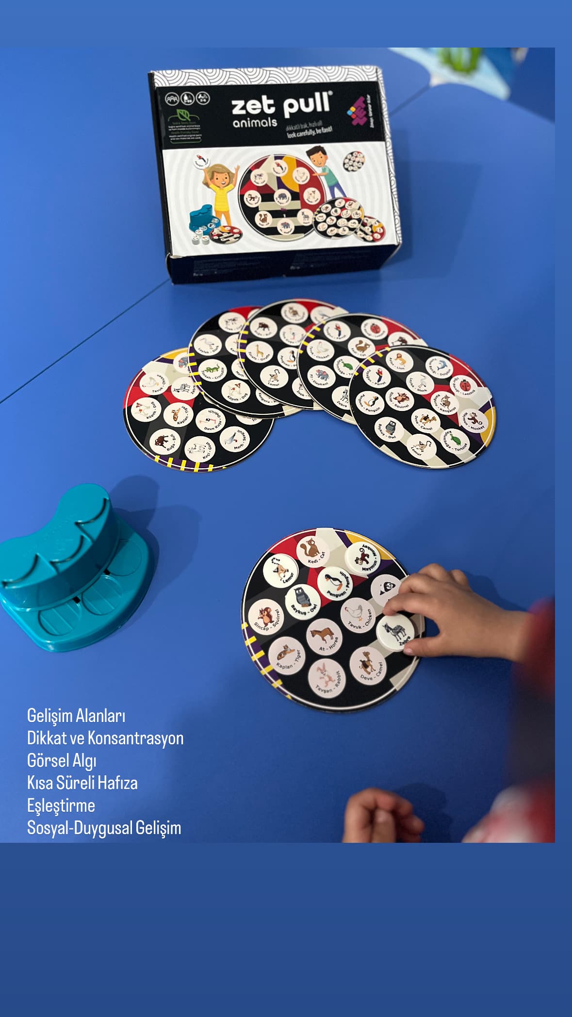 Zetpul zeka oyunu